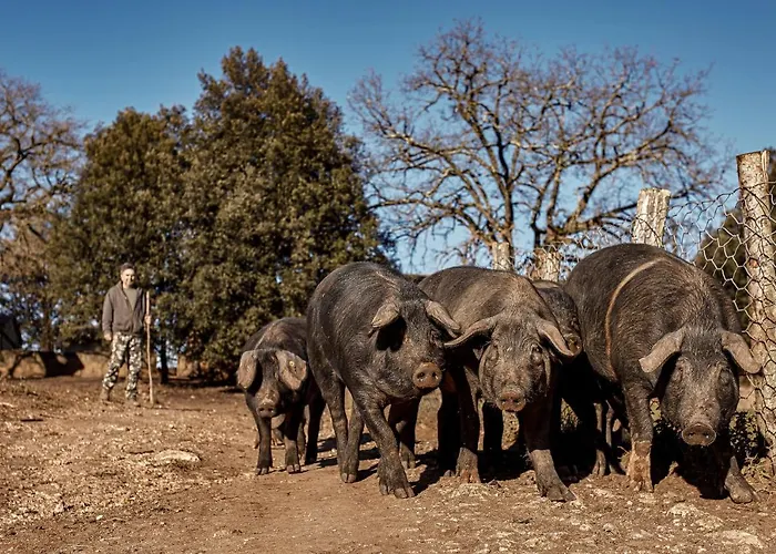 Casa Al Gianni * Sovicille